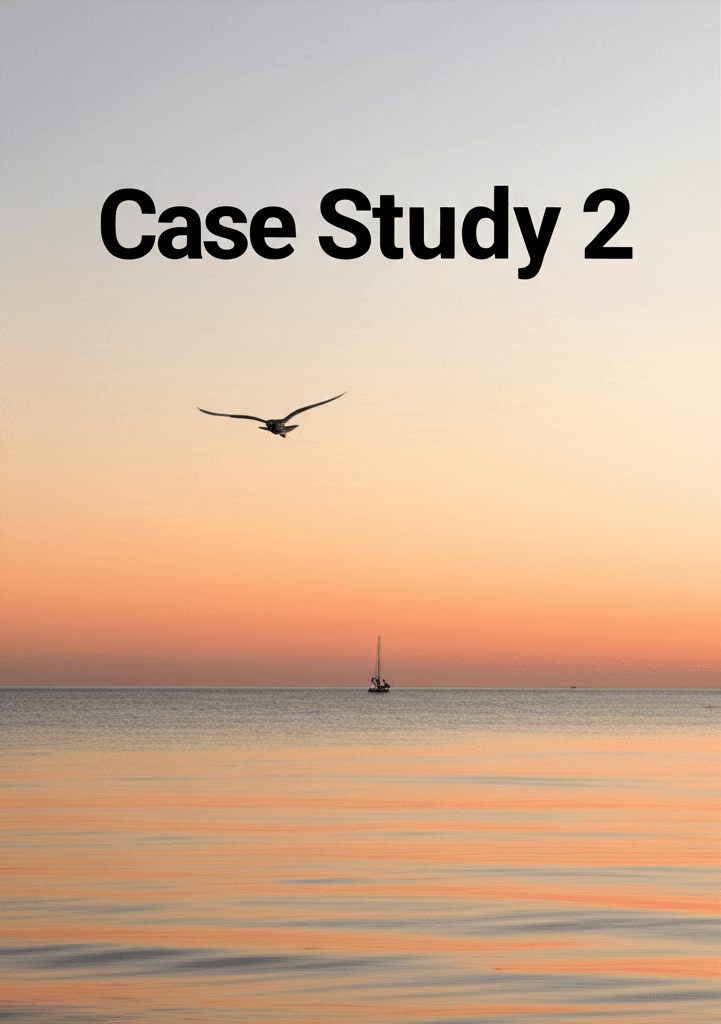 Rapid Finance case study